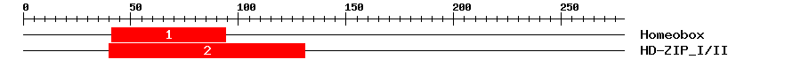 Signature Domain