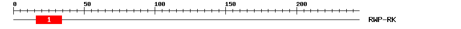 Signature Domain