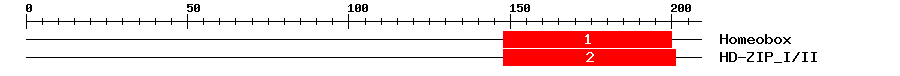 Signature Domain