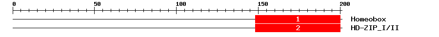 Signature Domain