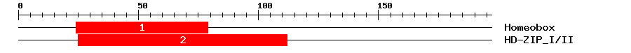 Signature Domain
