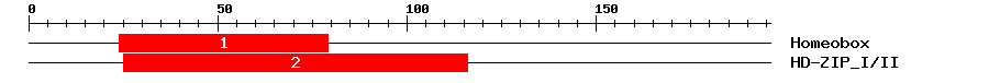 Signature Domain
