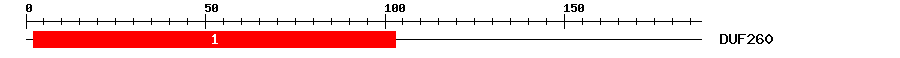 Signature Domain