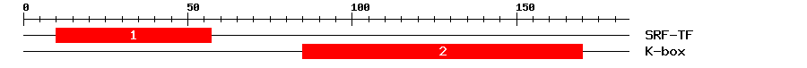 Signature Domain