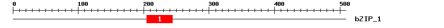 Signature Domain