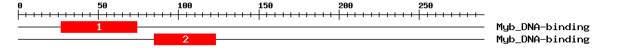 Signature Domain