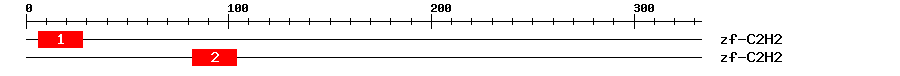 Signature Domain