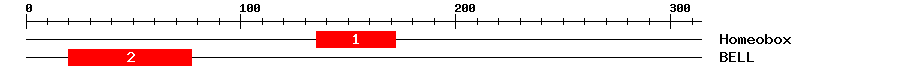 Signature Domain