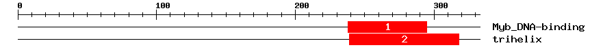Signature Domain