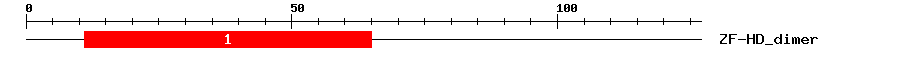 Signature Domain