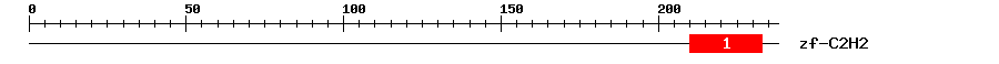 Signature Domain