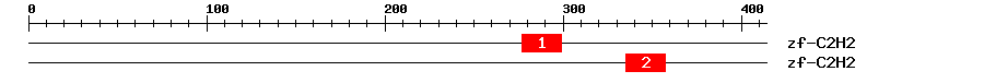 Signature Domain
