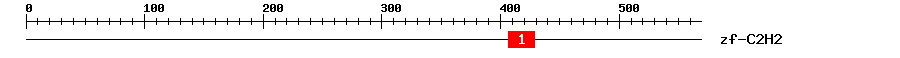 Signature Domain