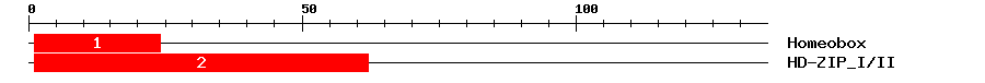 Signature Domain