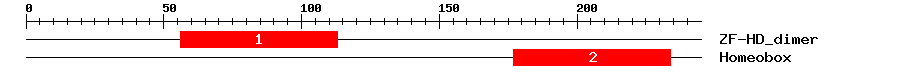 Signature Domain