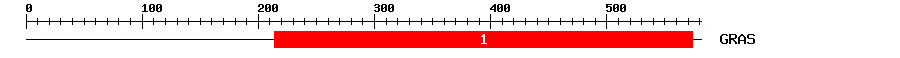 Signature Domain