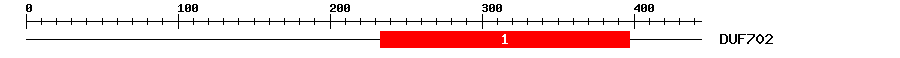 Signature Domain