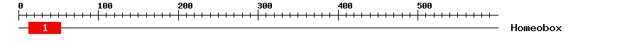 Signature Domain
