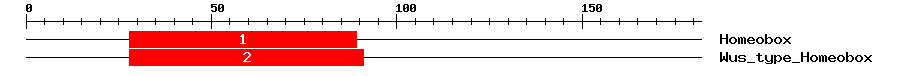 Signature Domain