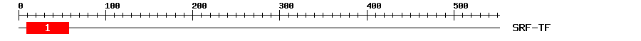 Signature Domain