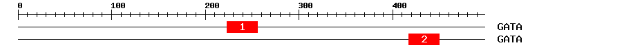 Signature Domain