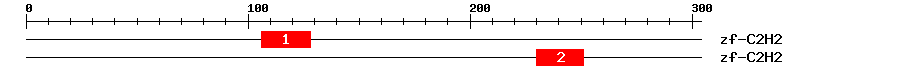 Signature Domain