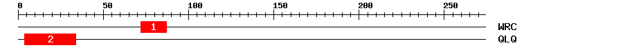 Signature Domain