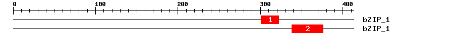 Signature Domain