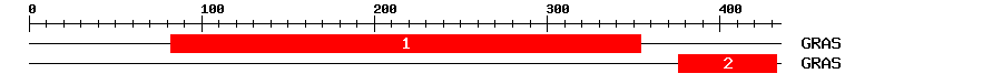 Signature Domain