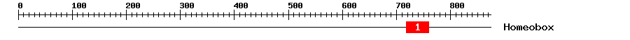 Signature Domain