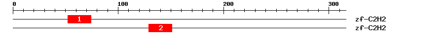 Signature Domain