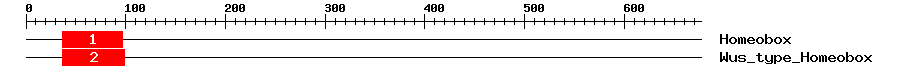 Signature Domain