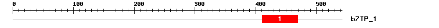 Signature Domain