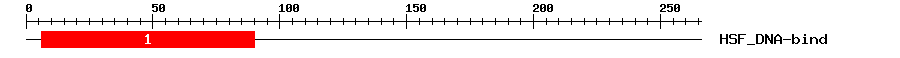 Signature Domain