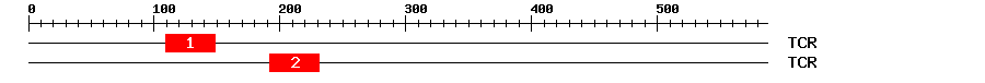 Signature Domain