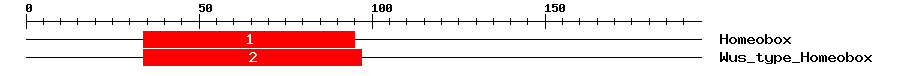 Signature Domain