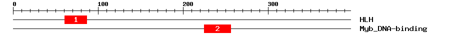 Signature Domain