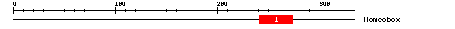 Signature Domain