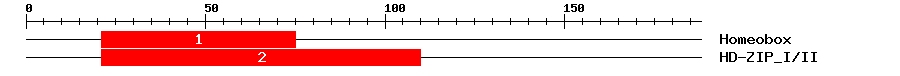 Signature Domain