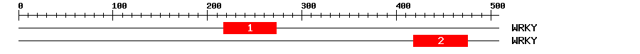 Signature Domain