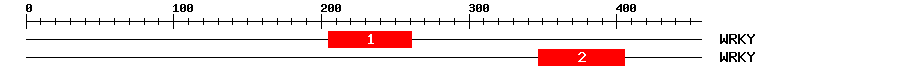 Signature Domain
