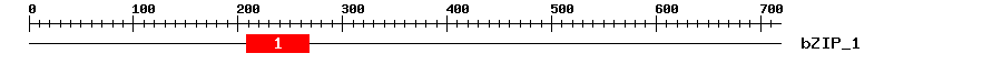 Signature Domain