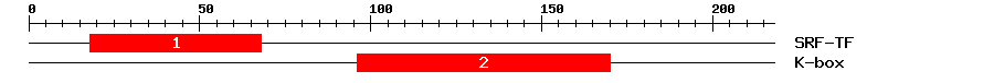 Signature Domain