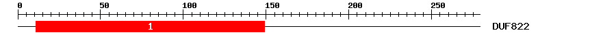 Signature Domain