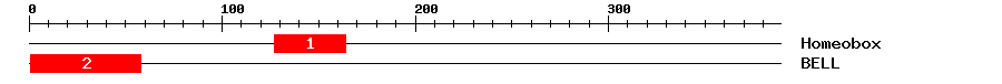 Signature Domain