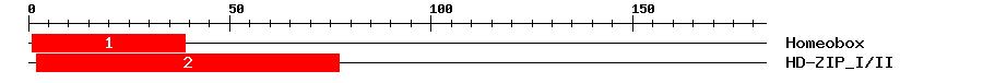 Signature Domain