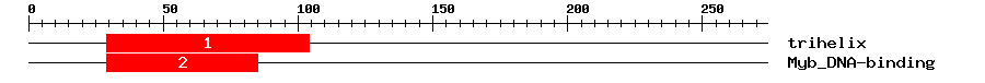 Signature Domain
