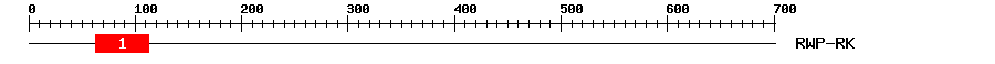 Signature Domain