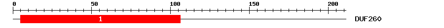 Signature Domain