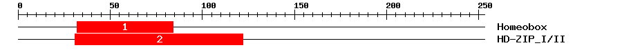 Signature Domain